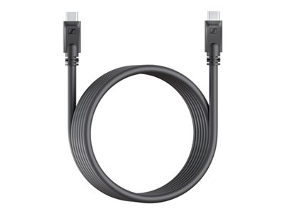 USB cable - USB-C (M) to USB (M) - 3 m - for TeamC