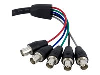 StarTech .com Câble d'écran coaxial VGA vers 5x BNC RGBHV de 30cm