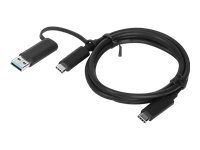 Lenovo - USB cable - 24 pin USB-C (M) to 24 pin USB-C (M) - 20 V - 5 A - 3.3 ft - black - for Flex 7 14; ThinkCentre M70s Gen 3; M75t Gen 2; ThinkPad E14 Gen 3; P15v Gen 3