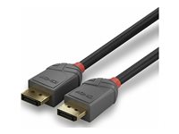 C ble DisplayPort 1.2, Anthra Line, 5m