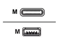 AddOn - USB cable - USB (M) to 24 pin USB-C (M)