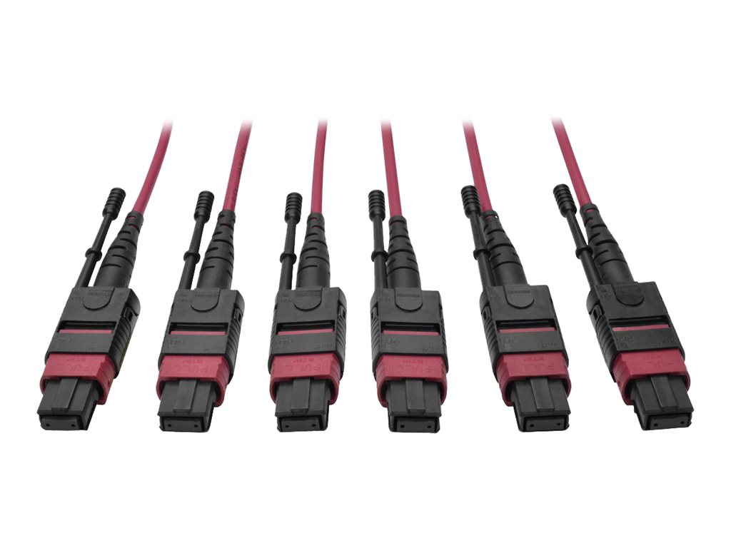 Tripp Lite 24-Fiber MTP MPO OM4 Base-8 MMF Trunk Cable 40/100GbE 3X, 23M