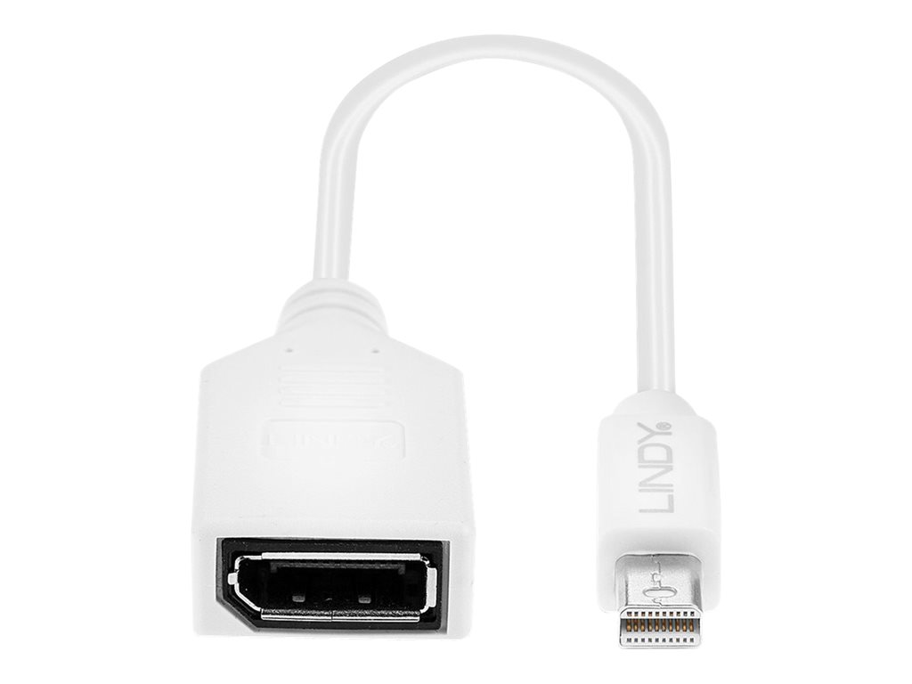 LINDY Câble adaptateur Mini DP M vers