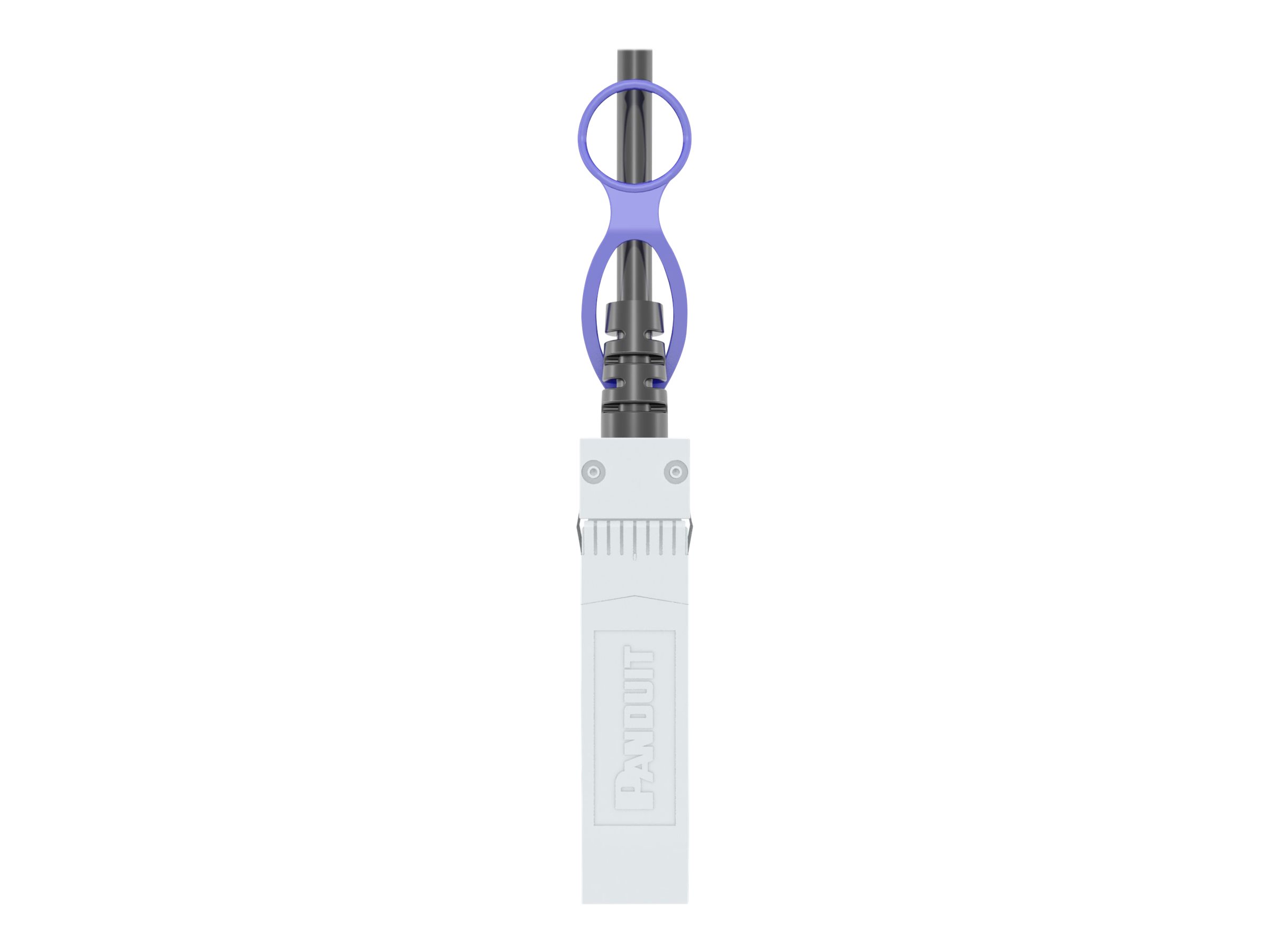 Panduit 10Gig - 10GBase direct attach cable