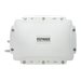 Peplink AP Pro 300M