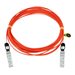 Dell 10GbE