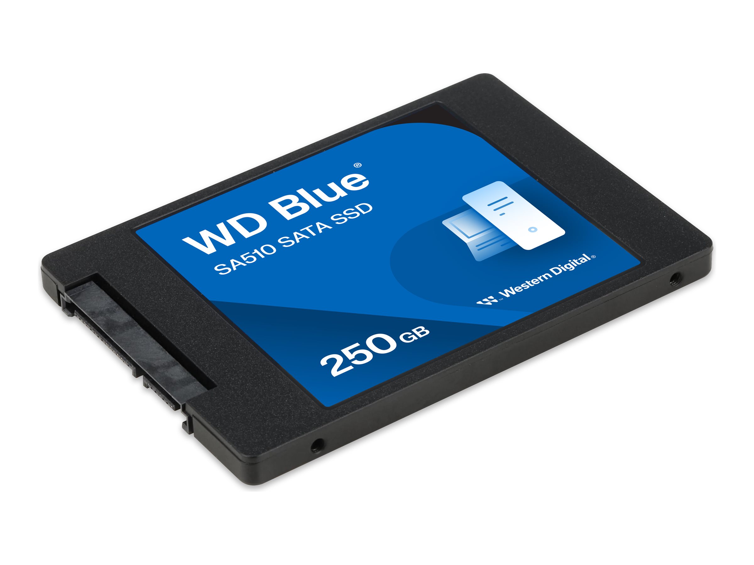 Disco Solido Interno Western Digital 250GB 3D Blue Sata