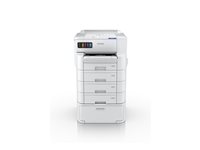 WCEC11CL37401BY