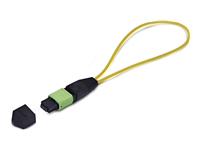 Startech - Adaptateur de bouclage - Conformité TAA - MPO-12 monomode (F) 