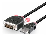 LINDY Câble DisplayPort vers DVI 5m