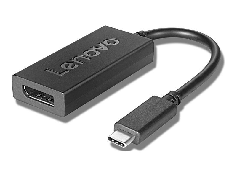 Lenovo - video adapter - 24 pin USB-C to DisplayPort - 20 cm