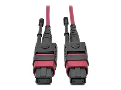 Tripp Lite MTP/MPO Multimode Patch Cable, 12 Fiber, 40/100 GbE, 40/100GBASE-SR4, OM4 Plenum-Rated (F/F), Push/Pull Tab, Magenta, 1 m (3.3 ft.)