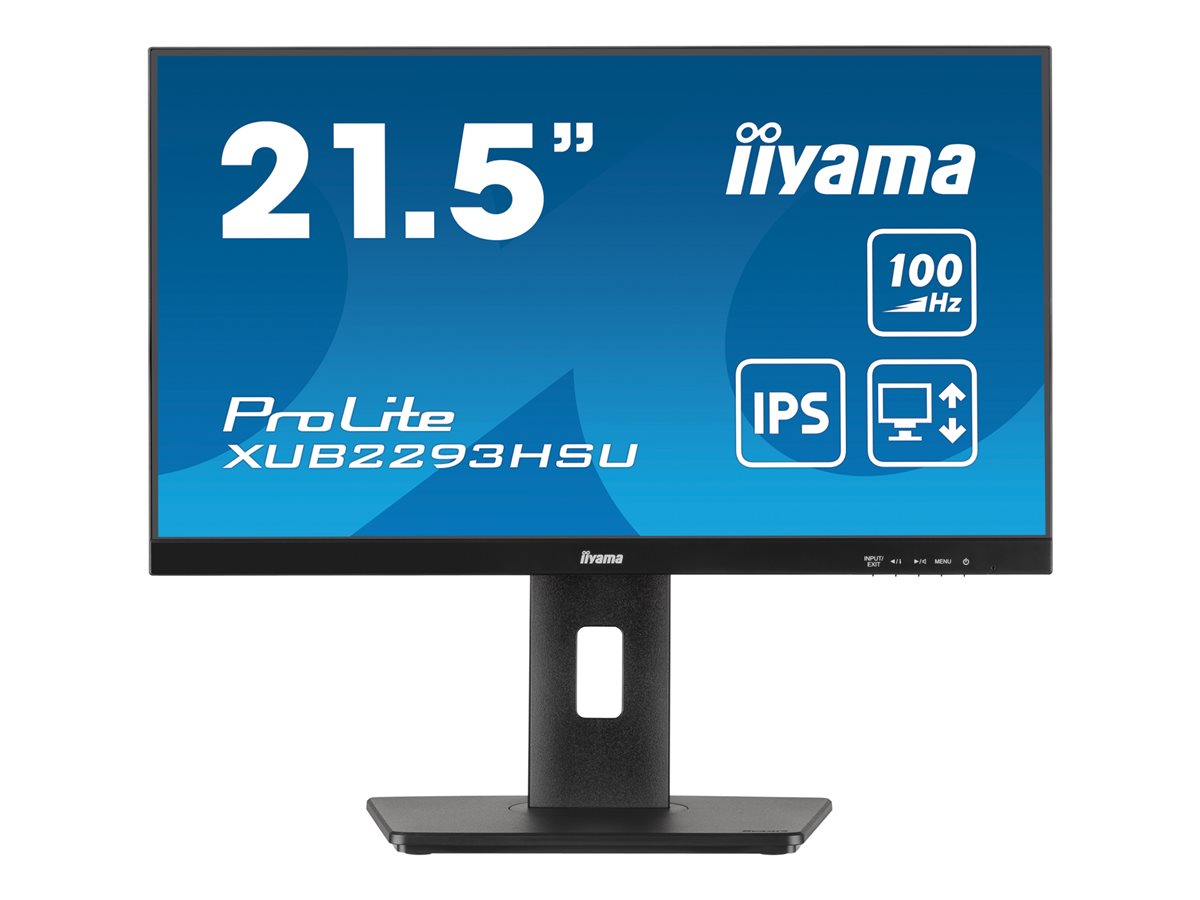 iiyama ProLite...