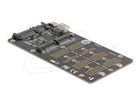 Delock Converter M.2 Key M NVMe SSD to SFF-8654 and M.2 Key B SATA SSD to SATA