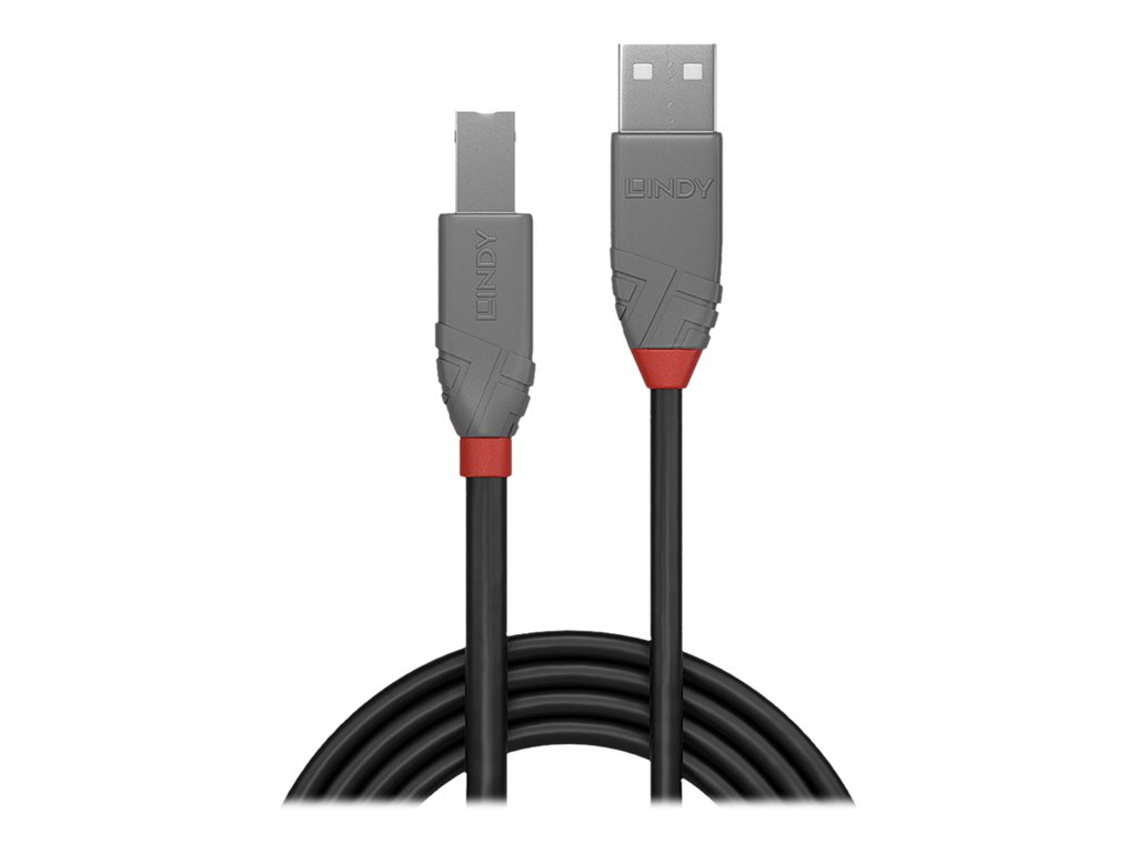 C ble USB 2.0 type A vers B, Anthra Line, 1m
