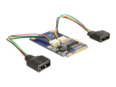 DELOCK Mini PCIe I/O full size 2xUSB 2.0