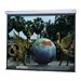 Da-Lite Model C Projection Screen with CSR