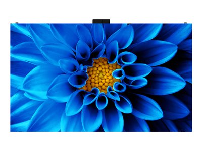 Planar Leyard TVF Complete HD 164