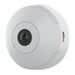 M3067-P - network surveillance camera - dome
