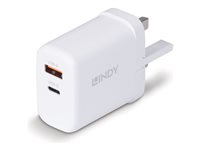 Lindy power adapter - GaN - USB-C, USB - 65 watt