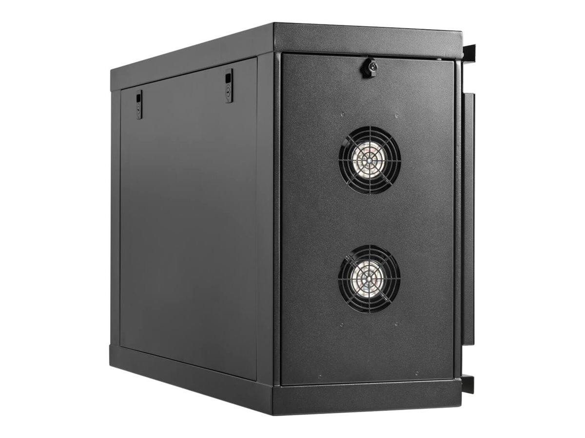 Eaton Tripp Lite Series SmartRack Wall-Mount Mini Rack Enclosure 6U Low-Profile Side-Mount Black