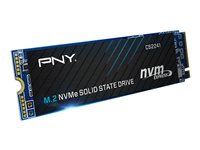 PNY CS2241