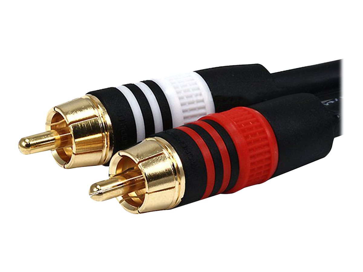 Monoprice Premium - Audio cable