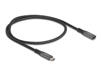DeLOCK USB 3.1 USB Type-C forlængerkabel 0.5m Sort Grå