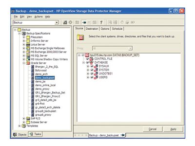 Micro Focus Data Protector On-line extension - lic