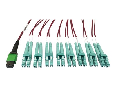 Tripp Lite 400G MTP/MPO Multimode OM4 Plenum-Rated Fiber Breakout Cable, 16F MTP/MPO-APC to (x8) LC Duplex-UPC, Magenta, 1M