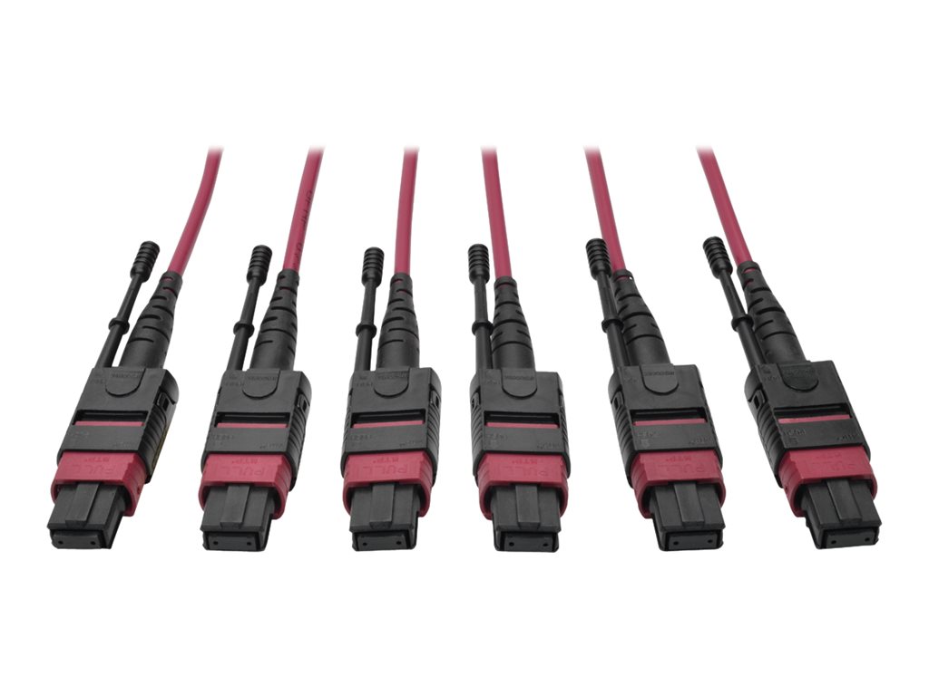 Tripp Lite 24-Fiber MTP MPO OM4 Base-8 MMF Trunk Cable 40/100GbE 3X, 15M
