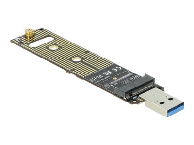 DELOCK Konverter für M.2 NVMe PCIe SSD mit USB 3.1 Gen 2 - 64069
