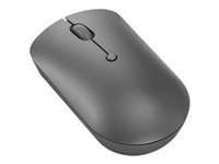 Lenovo 540 Wireless Compact - Mouse - compact - optical - 4 buttons - wireless - 2.4 GHz - USB-C wireless receiver - storm gray - CRU