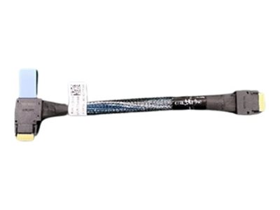 DELL BOSS Enablement Kit CI