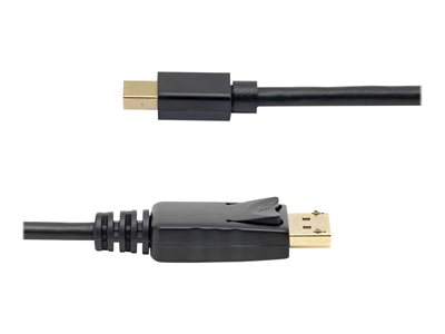 Inland DisplayPort Male to HDMI Male Cable 6 ft. - Black - Micro