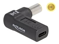 DeLOCK 24 pin USB-C (female) - Strøm DC jackstik 7,9 mm (ID: 5,5 mm) (male) Sort Strømforsyningsadapter
