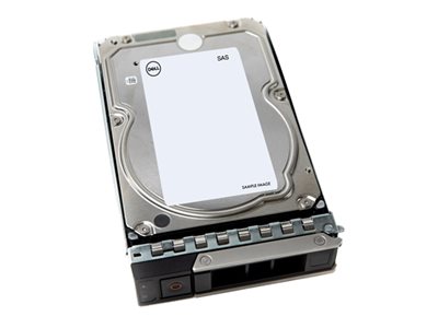 Dell - Custom Kit - hard drive