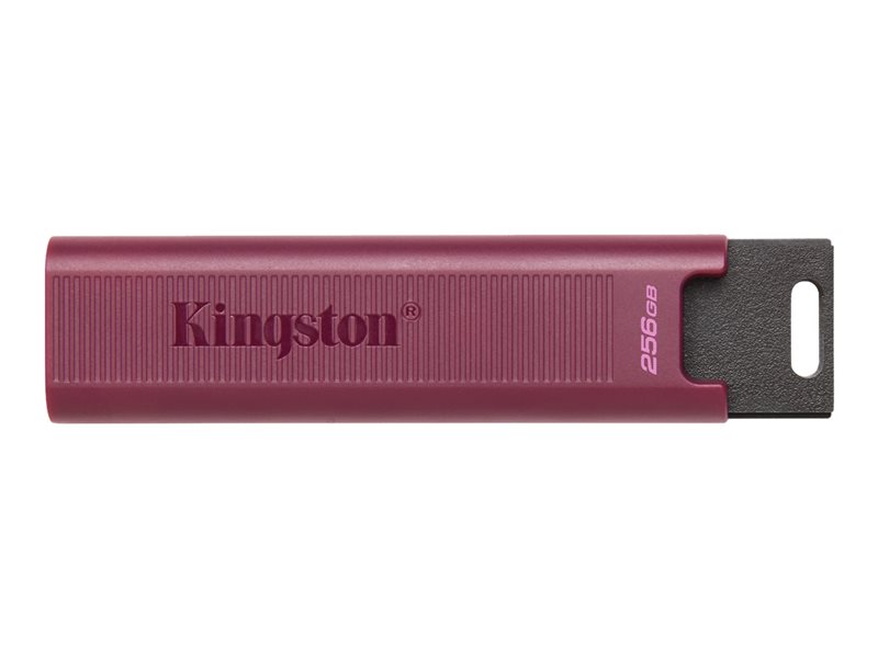 Kingston DataTraveler Max - cl USB - 256 Go