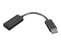 Lenovo Video / lyd adapter DisplayPort / HDMI 22.5cm Sort