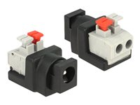 DeLOCK 2 pins terminalblok (female) - Strøm DC jackstik 5,5 mm (ID: 2,1 mm) (female) Strømforsyningsadapter