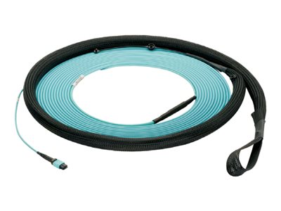 Panduit - Trunk cable