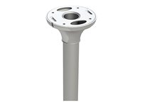 NEOMOUNTS FPMA-C100 ceiling mount