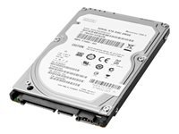 HP Enterprise - Hard drive - 1 TB - 3.5