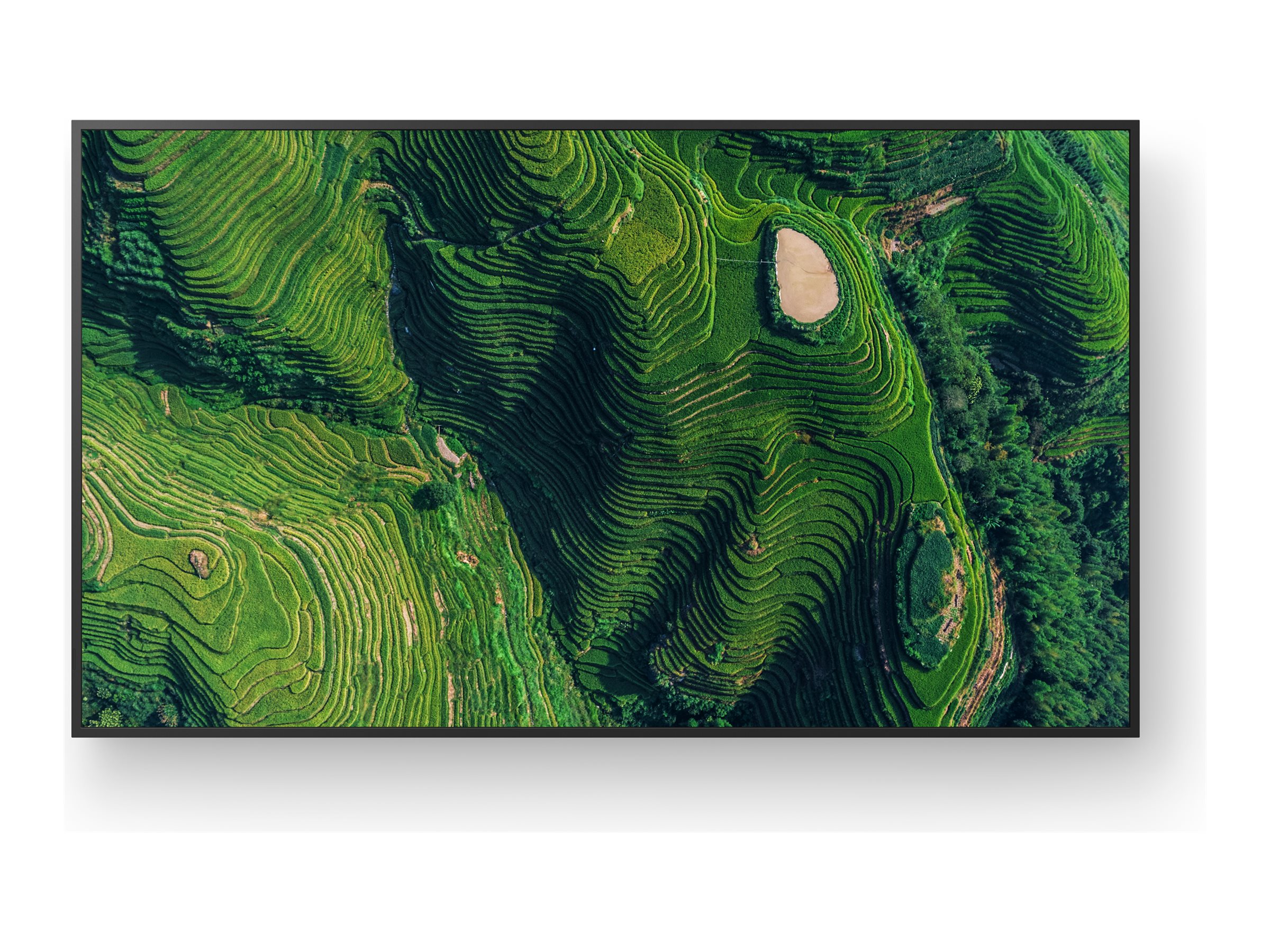 An image of Sony Bravia Professional Displays FW-65BZ35P BZ35P Series - 65" LED-backlit LCD display - 4K - for digital signage
