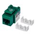 Intellinet Keystone Jack, Cat6, UTP, Punch-down, Green