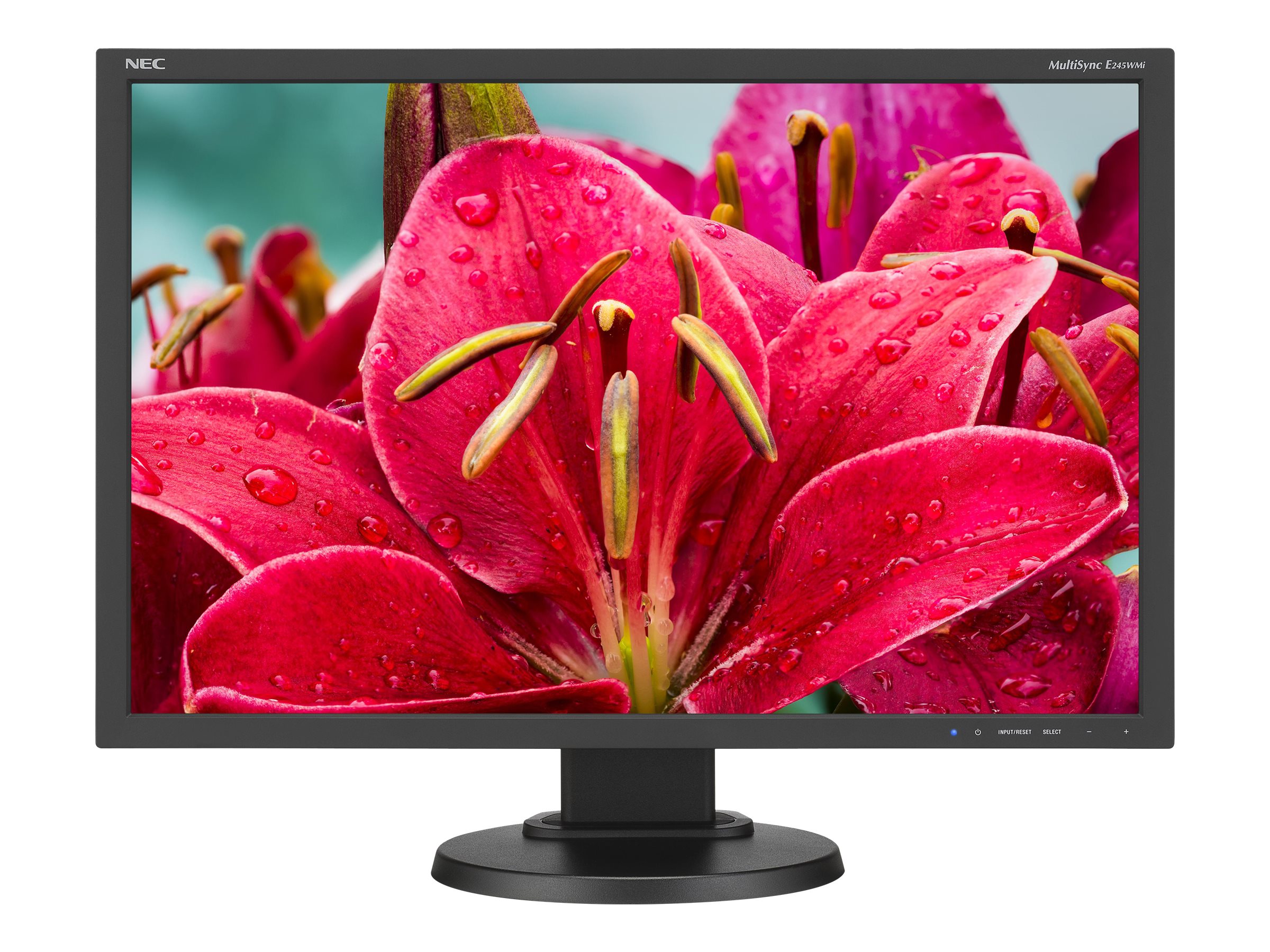 NEC MultiSync E245WMi-BK