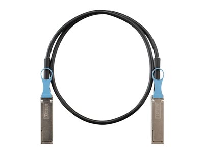 Panduit - Direct attach cable