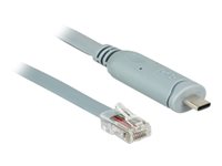 DeLock Seriel adapter USB-C 230Kbps Kabling