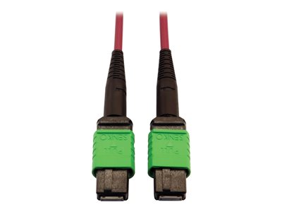 Eaton Tripp Lite Series 400G Multimode 50/125 OM4 Plenum-Rated Fiber Optic Cable, 16F MTP/MPO-APC (F/F), Magenta, 5 m