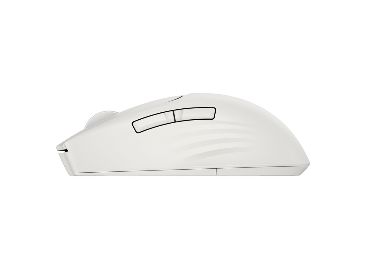 HP Klávesnice a myš – foto 3